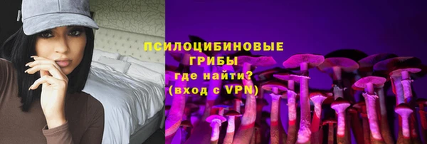амф Краснослободск